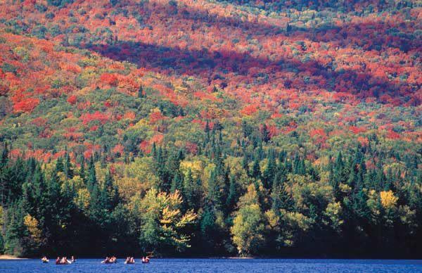 Gite Parc Mauricie B&B 생 매튜 뒤 파르크 외부 사진